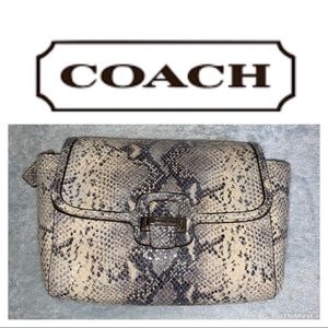 Coach Snakeskin Clutch/ Wristlet